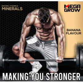 Megagrow Mass  Gainer Whey Protein Powder 1kg. (Banana Flavoured) 