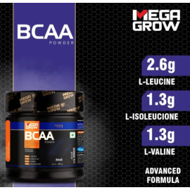 Megagrow BCAA Orange Flavour Protein Powder 1kg